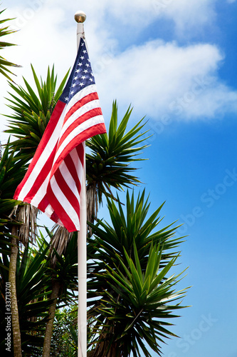Usa flag and palms on blue sky