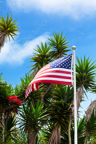 Usa flag and palms on blue sky