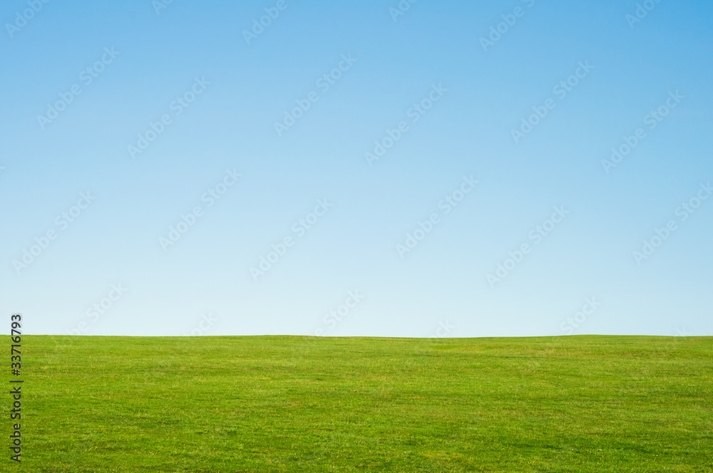 Grass and Sky Landscape