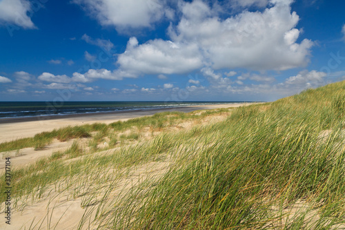 Sand dunes with helmet grass