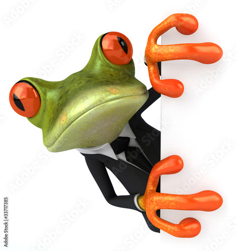 Business frog Fototapet