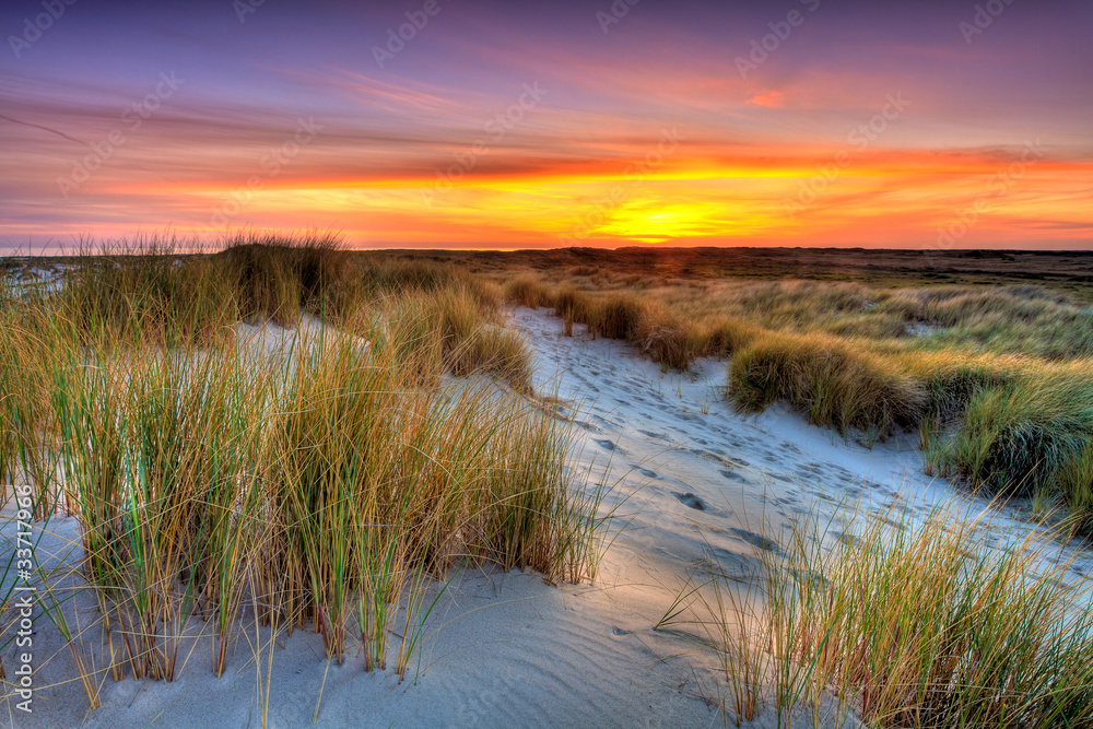 Seaside with sand dunes at sunset