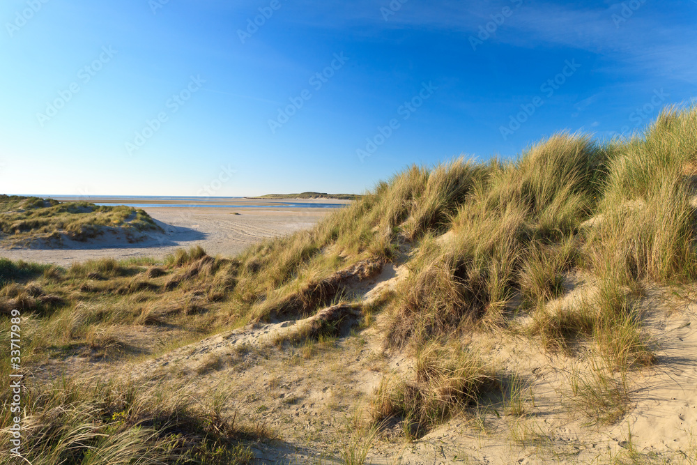 Sand dunes with helmet grass
