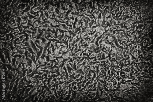 Fotografie Karakul texture