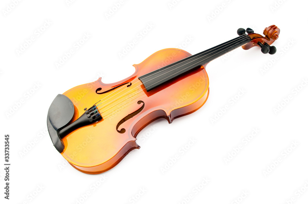 Fototapeta premium Violin isolated on the white