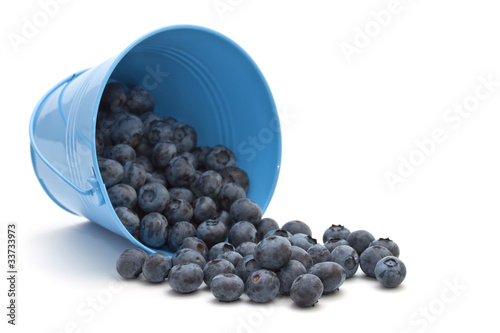 Slika na platnu Blueberries in a bucket on a white background