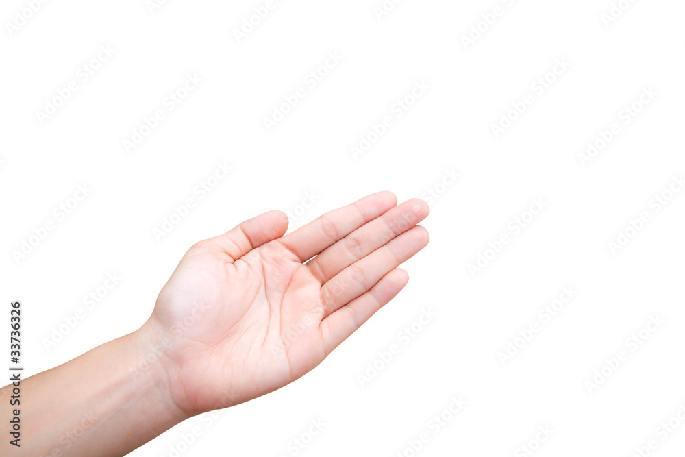 Empty hand isolated on white background Empty hand isolated on white background