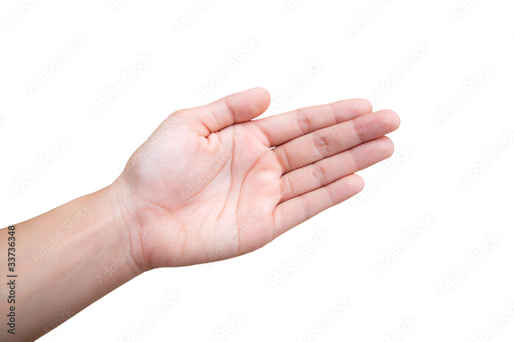 Empty hand isolated on white background Empty hand isolated on white background