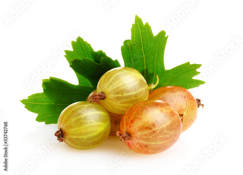 fresh gooseberries and leaves isolated on white