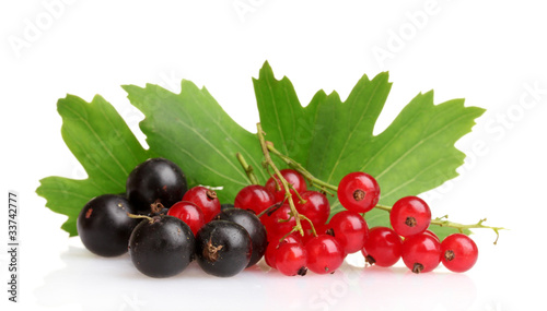 Fresh black and red currant and leaves isolated on a white