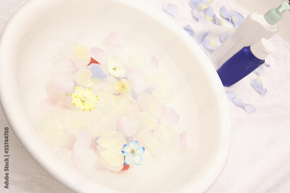水面に浮かぶ花びら 水面に浮かぶ花びら