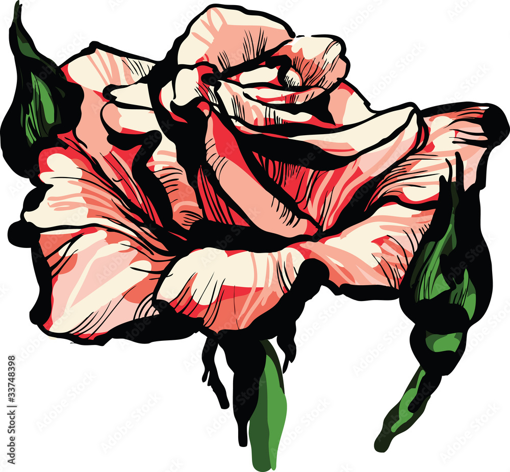 gorgeous pink rose bud