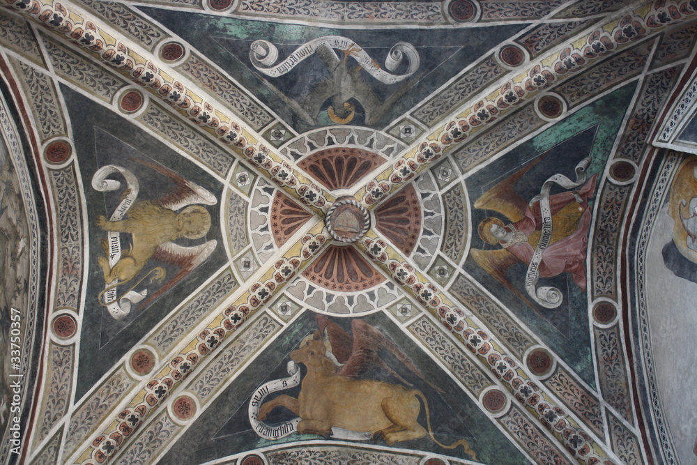 Ceiling of San Antonio Di Ranverso Abbey ( Rosta Italy )