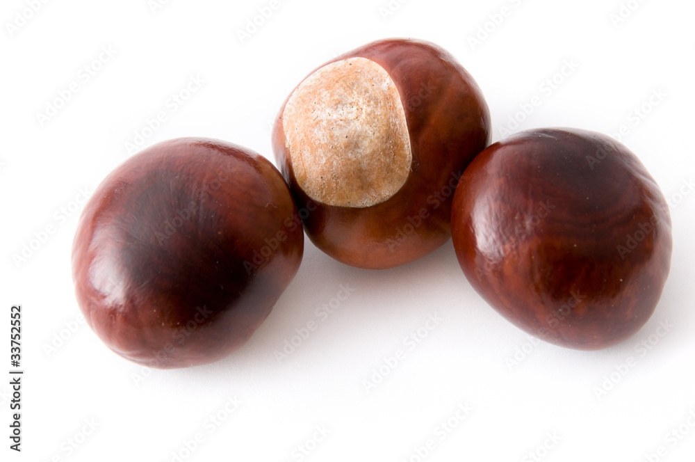 Obraz premium Drei Rosskastanien
