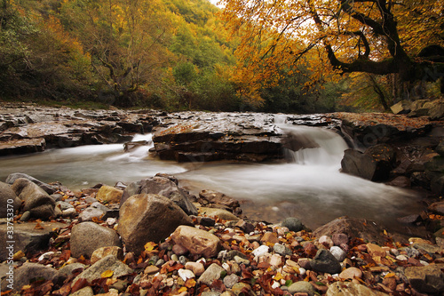 Autumn creek in Transilvania