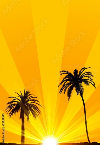 Summer tropical background