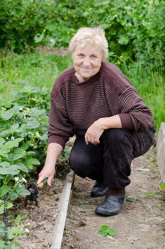 Obraz na plátně The elderly woman works on a kitchen garden