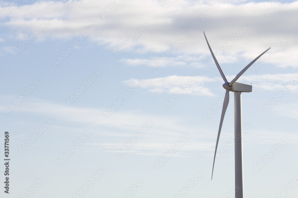 Fototapeta premium windmill