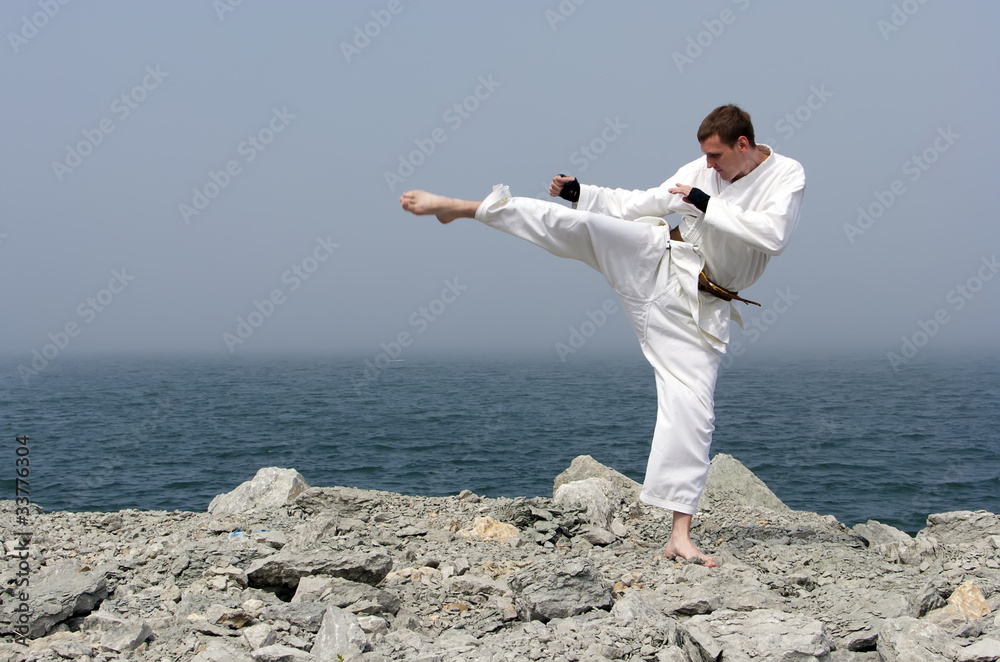 karate on the shores of the misty sea karate on the shores of the misty sea