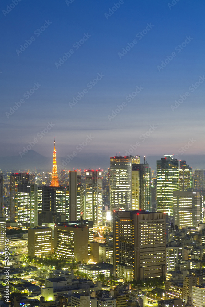 汐留ビル群と東京タワー