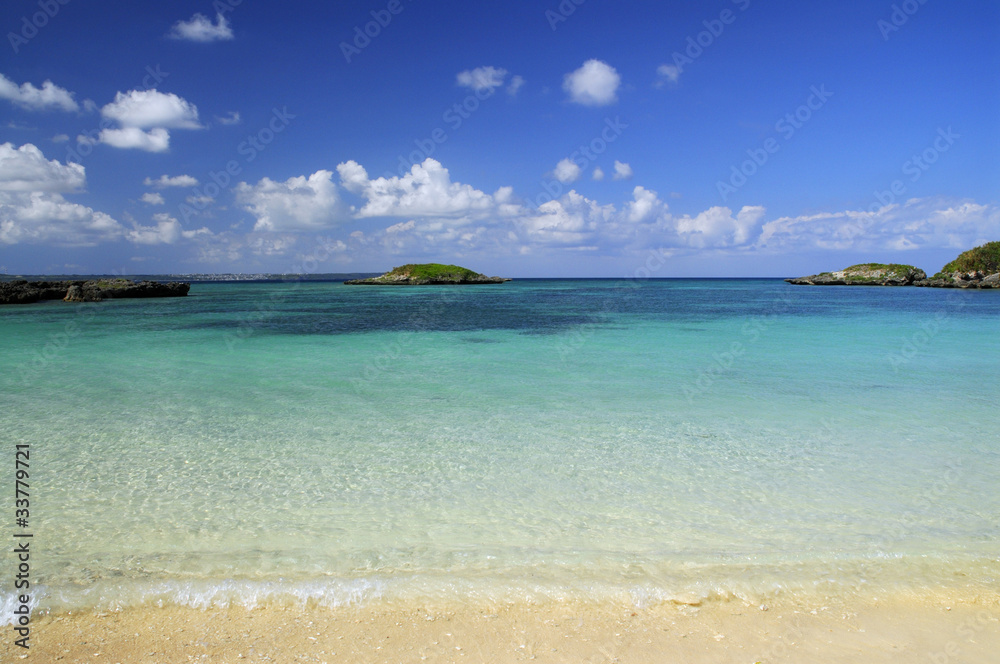 海 海