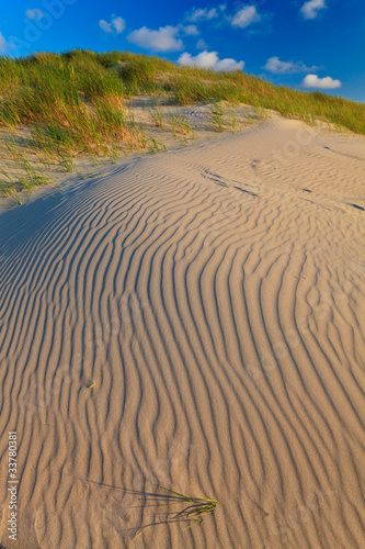 Sand dunes with helmet grass