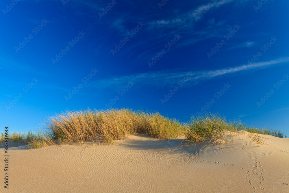 Sand dunes with helmet grass