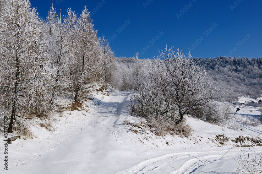 Obraz premium Winter landscape with snow in mountains, Slovakia
