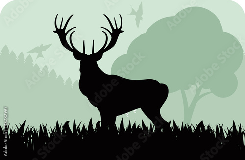 Animated dear hunting season foliage