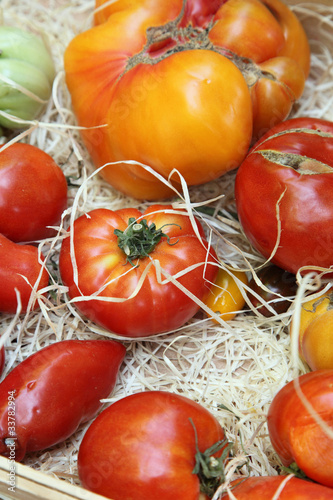 Au marché : Variétés de tomates anciennes photo