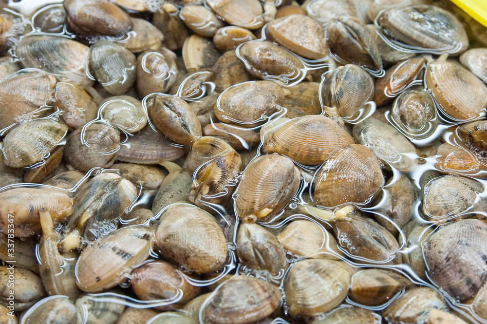 sea product from the adaman sea in local fish market sea product from the adaman sea in local fish market