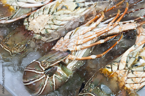 sea product from the adaman sea in local fish market photo