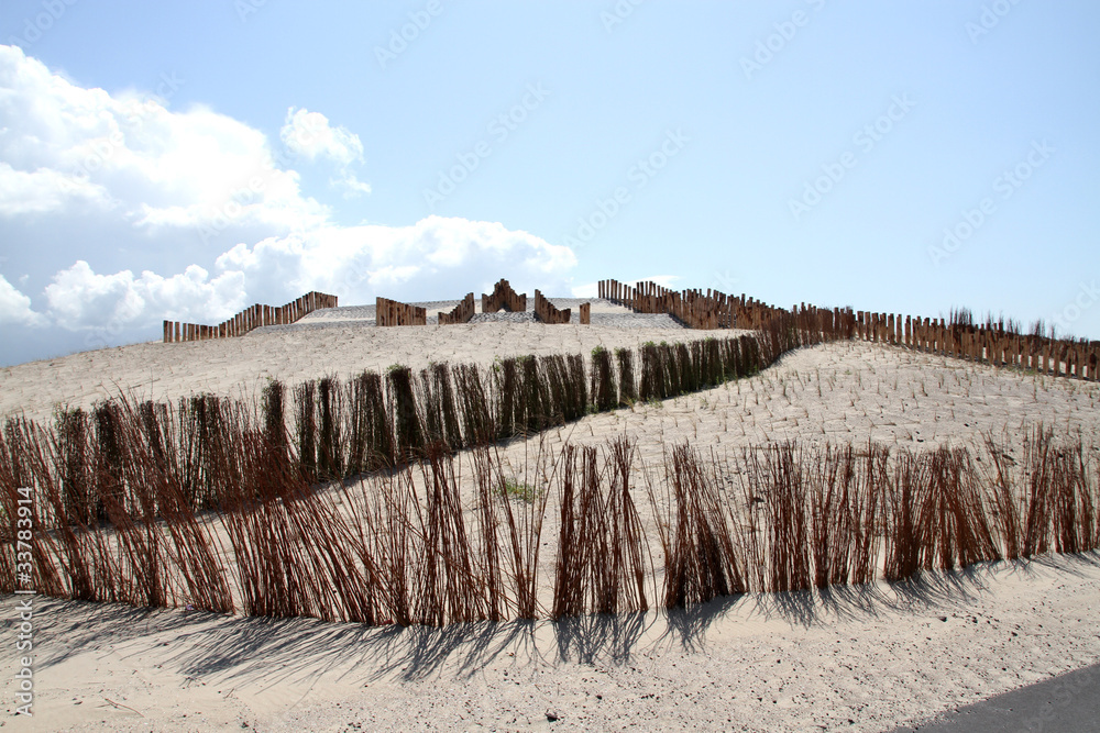 Fototapeta premium Dünen