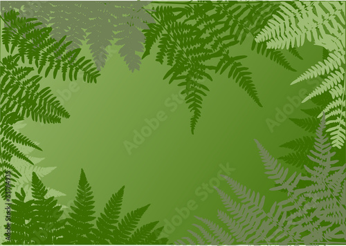 green fern frame illustration