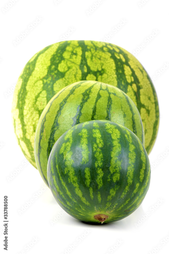 3 pastèques diffférentes en rang (citrullus lanatus) 3 pastèques diffférentes en rang (citrullus lanatus)