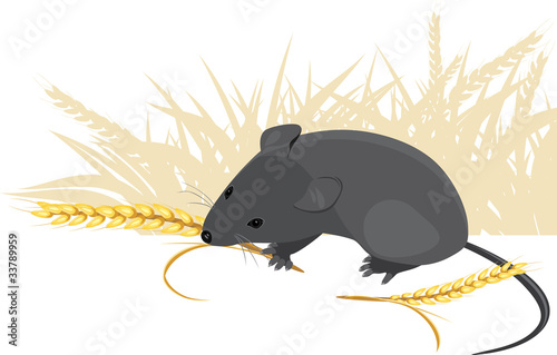 Field mouse with wheat ears