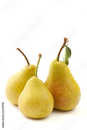 pears - pere photo