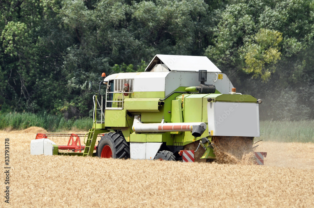 Fototapeta premium getreideernte