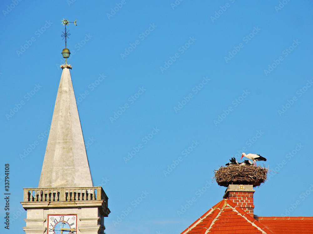 Storch mit Jungen am Dach