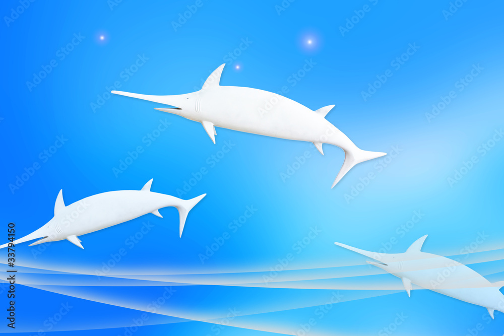 Fototapeta premium Dolphin Graphics.