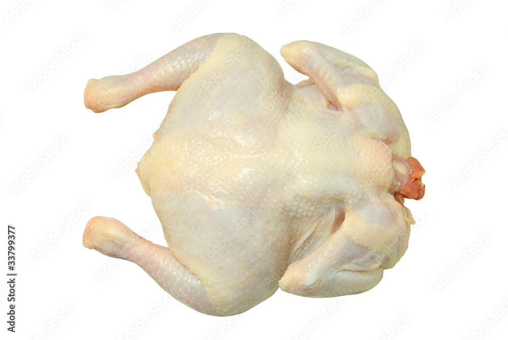 chicken chicken