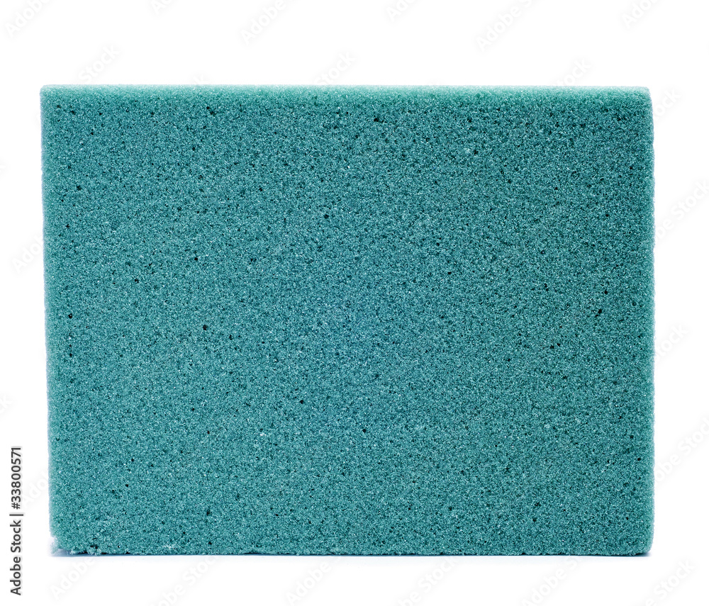 Fototapeta premium block of floral foam