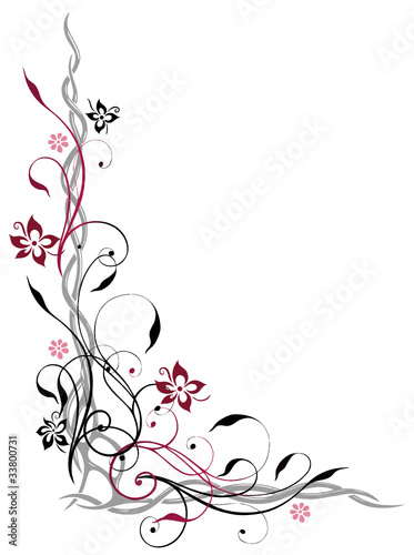 Ranke, flora, Blumen, Blüten, filigran, schwarz, pink