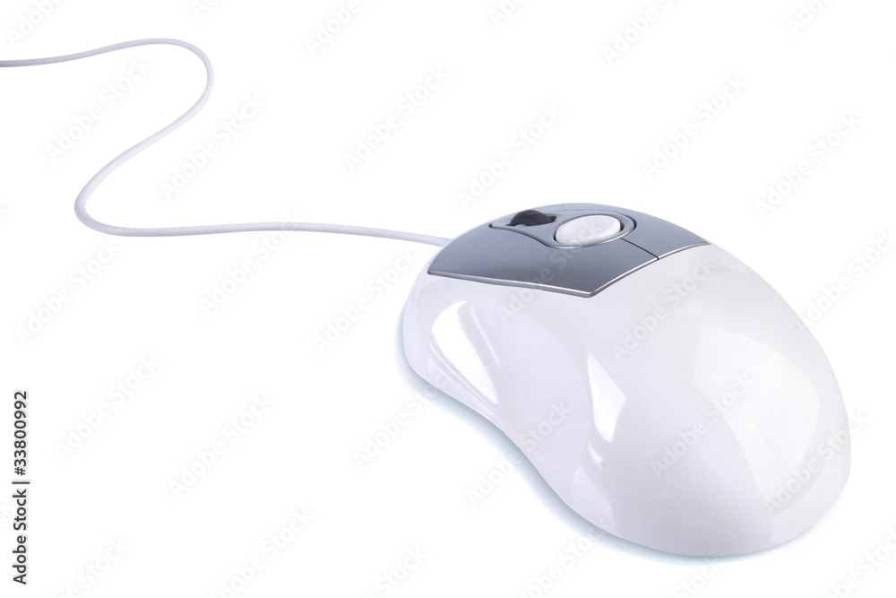 computer mouse isolated on white computer mouse isolated on white
