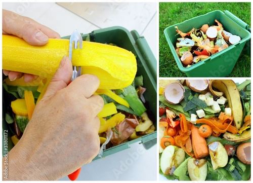 recyclage de légumes