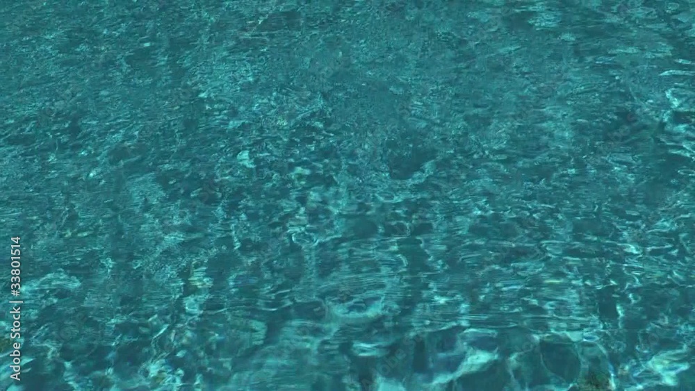 surfase swimming pool surfase swimming pool