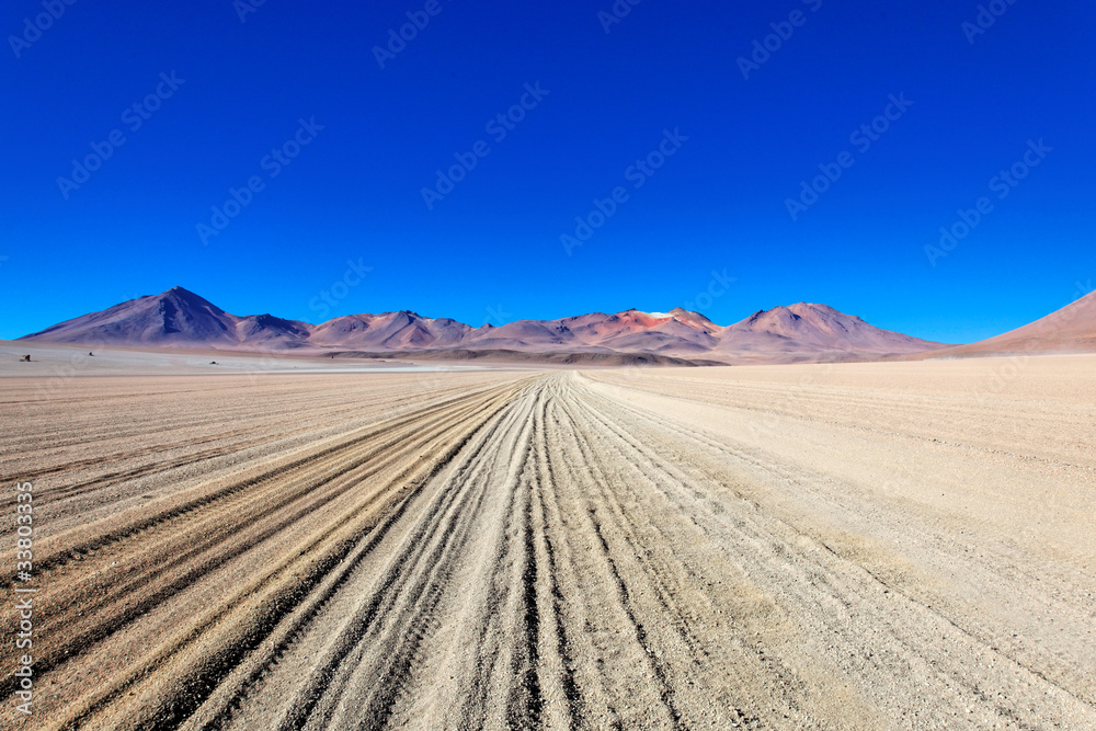 Atacama desert, Bolivia, South America