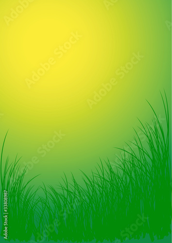 Green vector grass background