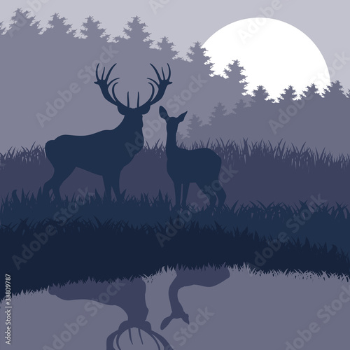 Rain deer family in wild night forest foliage illustration