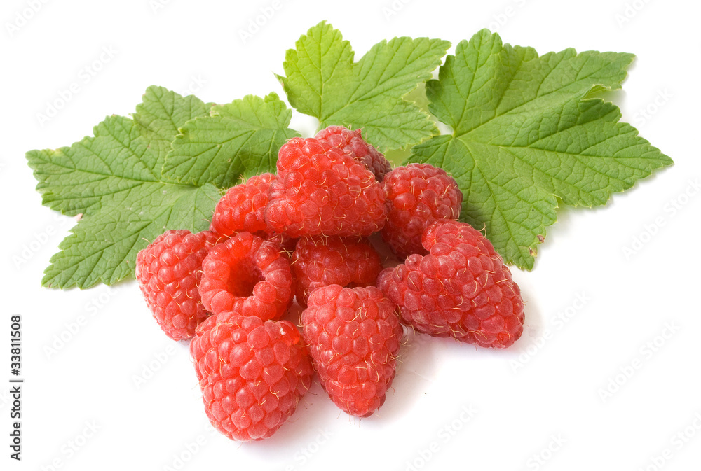 raspberries raspberries